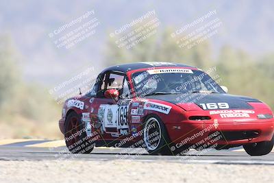 media/Oct-12-2025-Lucky Dog Racing (Sun) [[8adb5568ea]]/3-Third    Stint/1-Turn 7/